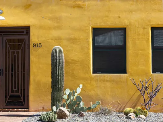 Outside view yellow house