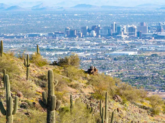 Phoenix city skyline