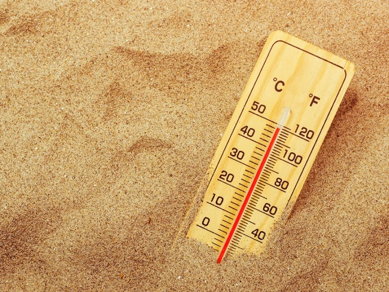 Thermometer in hot desert sand