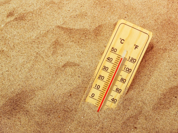 Thermometer in hot desert sand